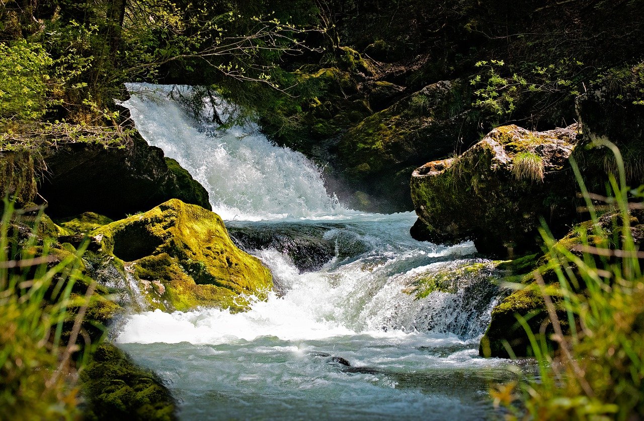 Wandern Steffi